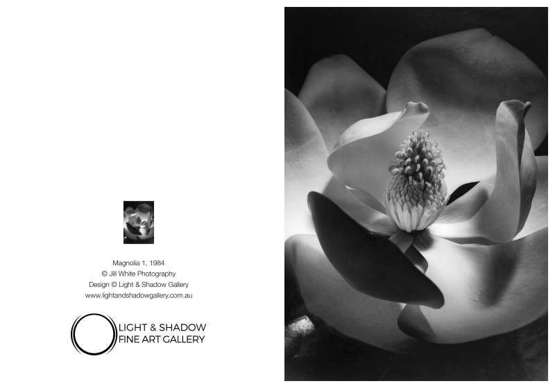 Magnolia 1 5x7