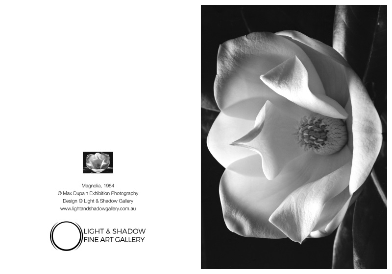 Magnolia 5x7
