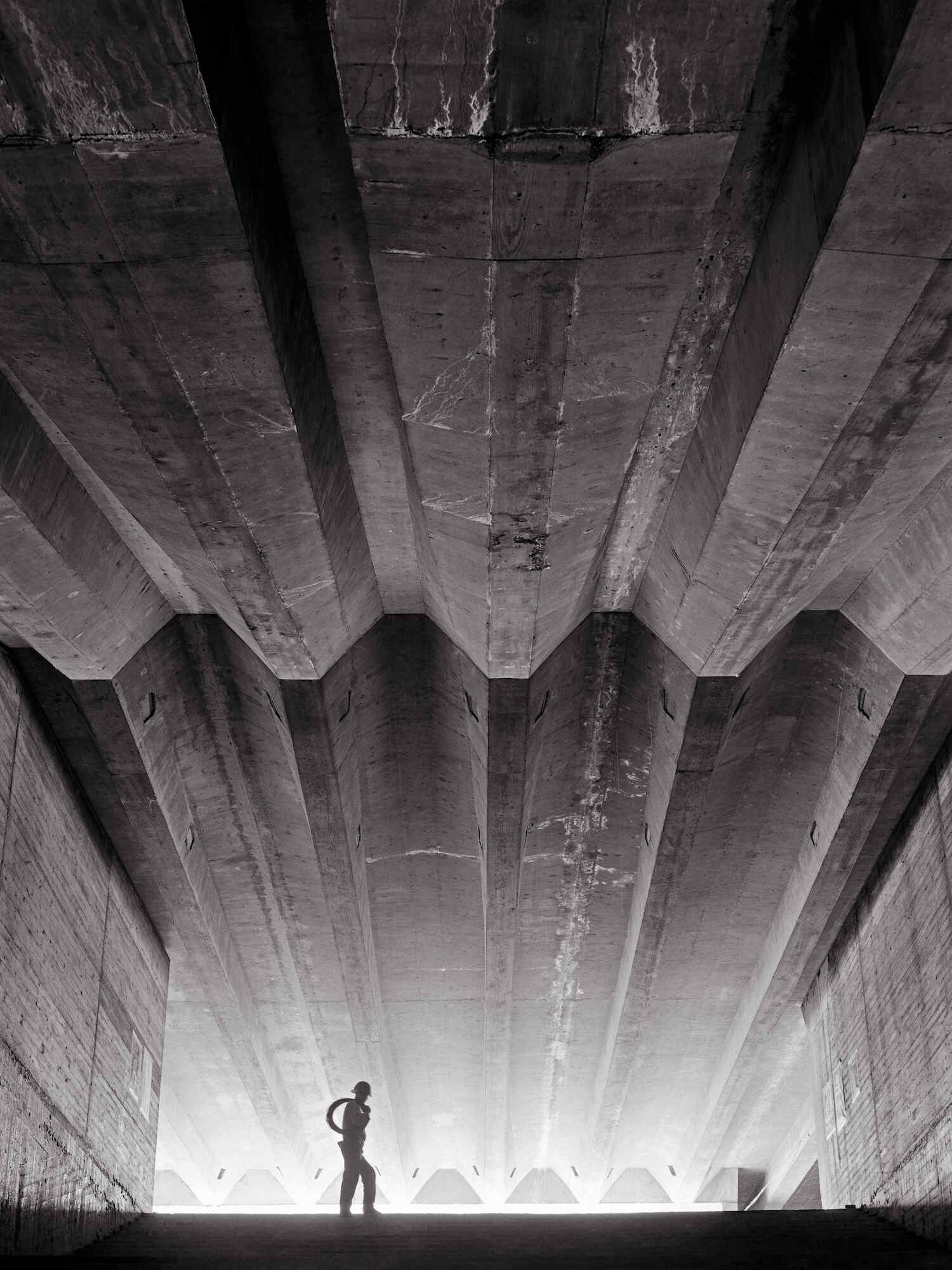 Under the Grand Staircase SOH 1962