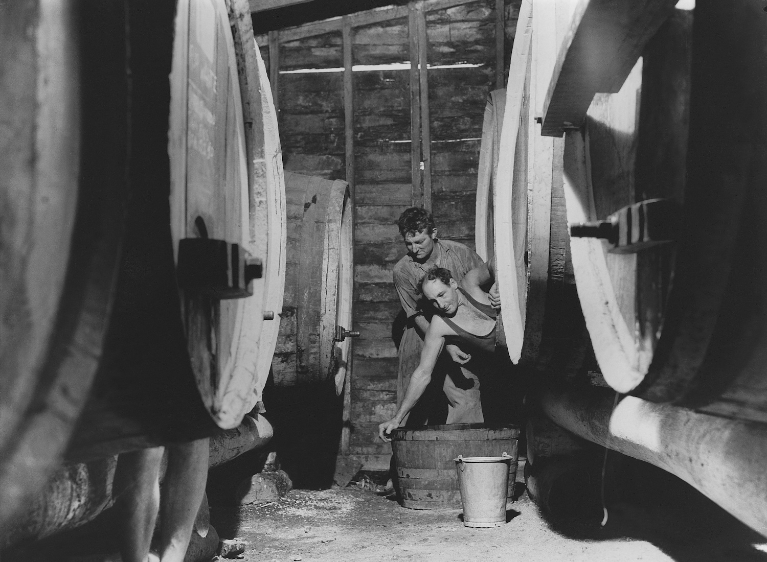 Cleaning wine barrell, Pokolbin, Hunter Valley 1950