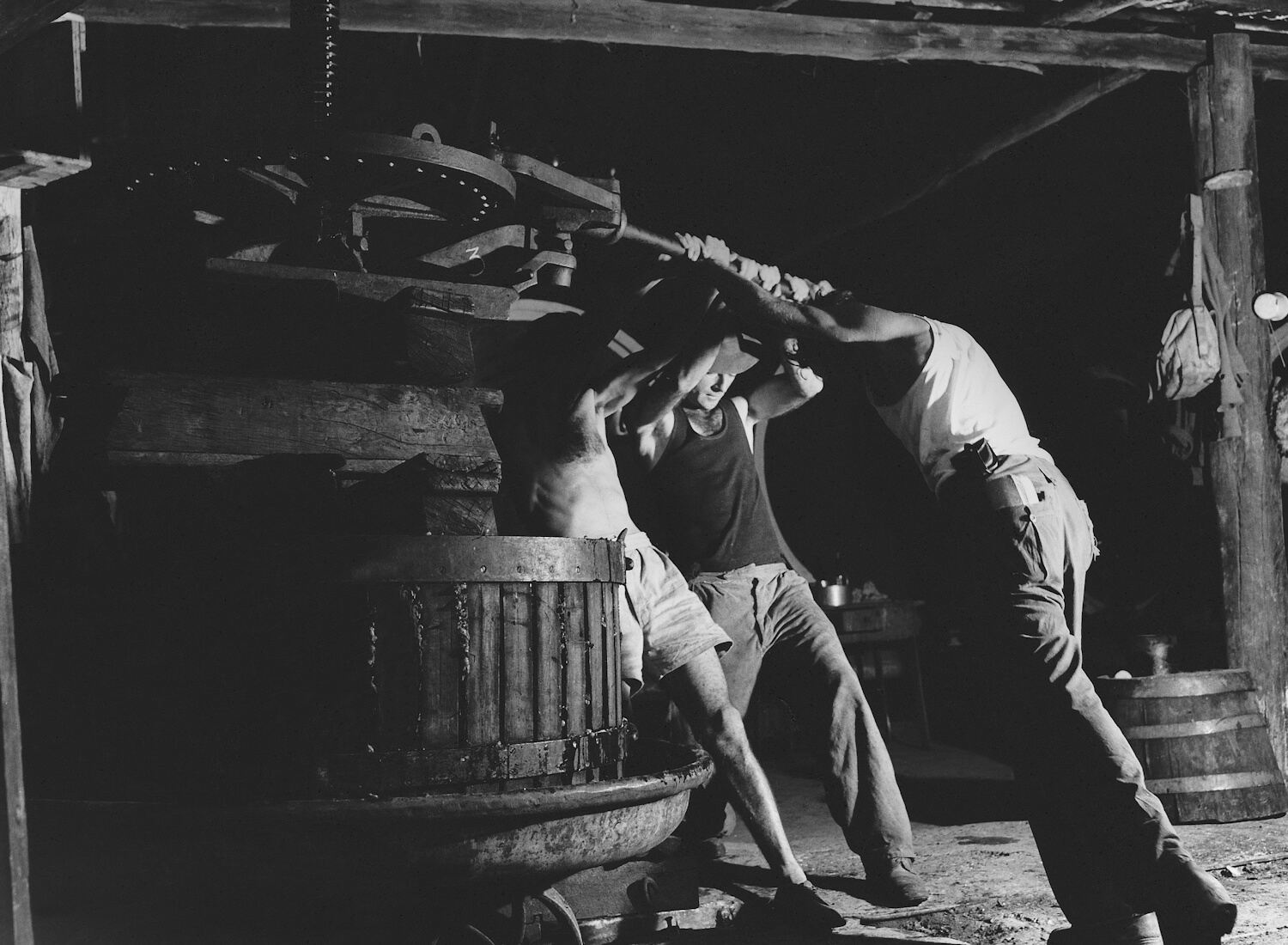 Grape crushing, Pokolbin 1950