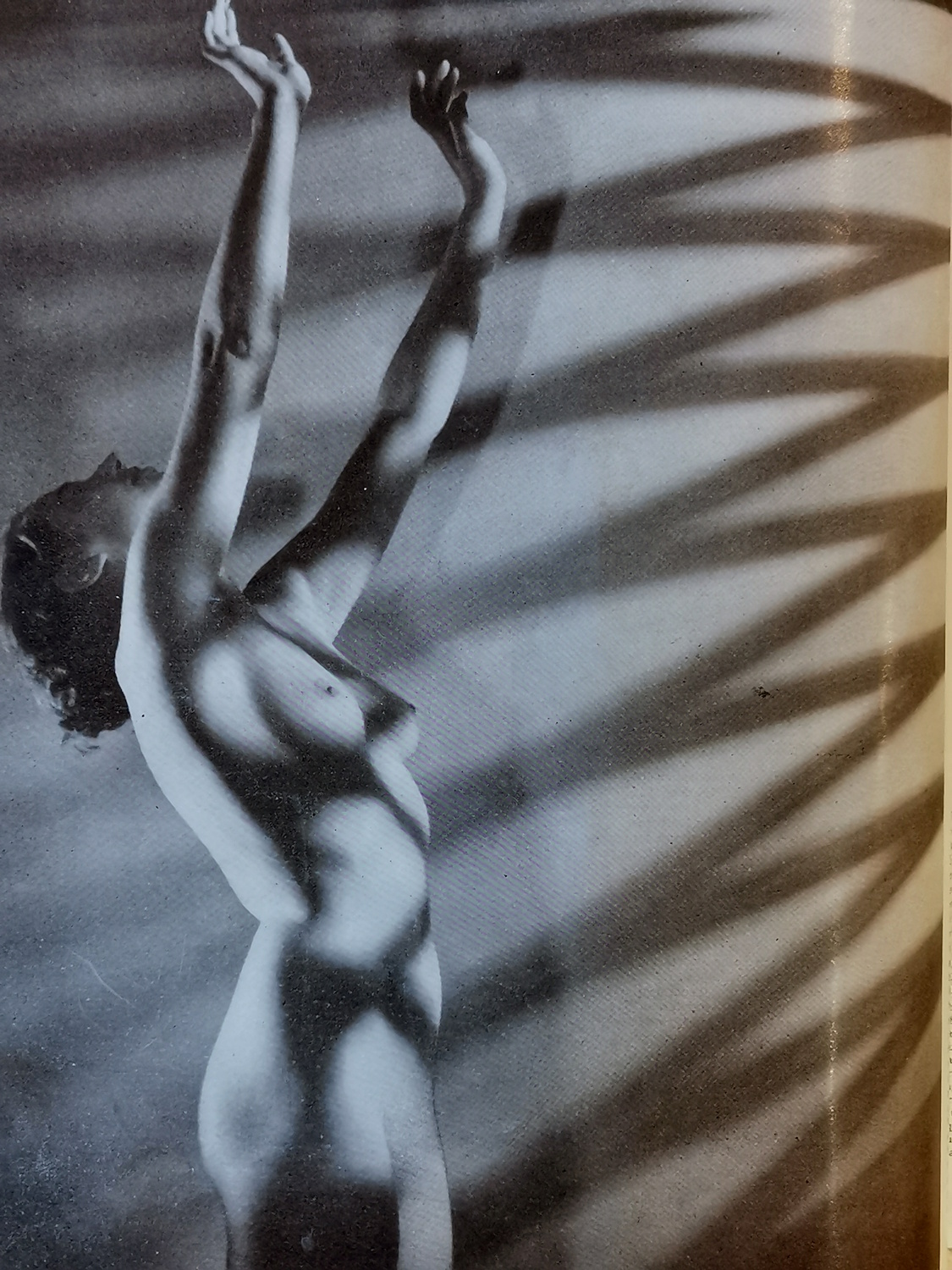Nude with light patterns 1930s