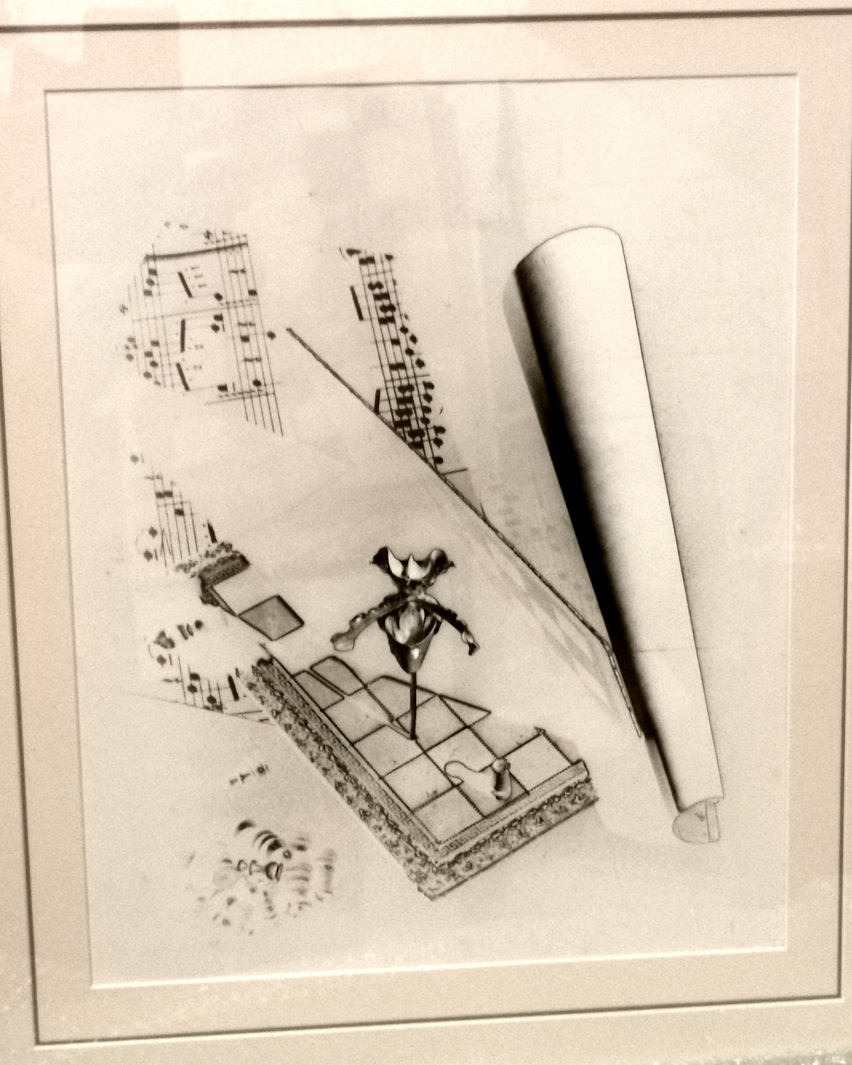 Solarised orchid with music score 1930s