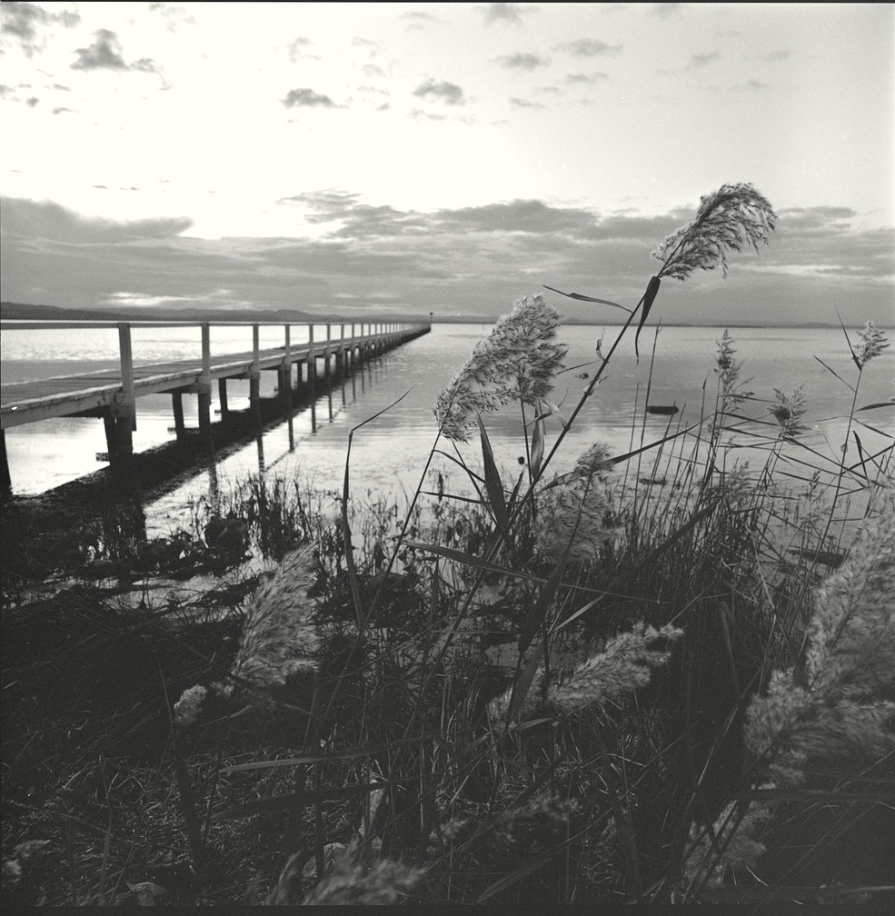 Jetty at the Entrance 1953